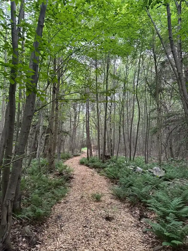 Sullivan County: Woodland Awareness Around Laporte Sullivan County: Woodland Awareness Around Laporte