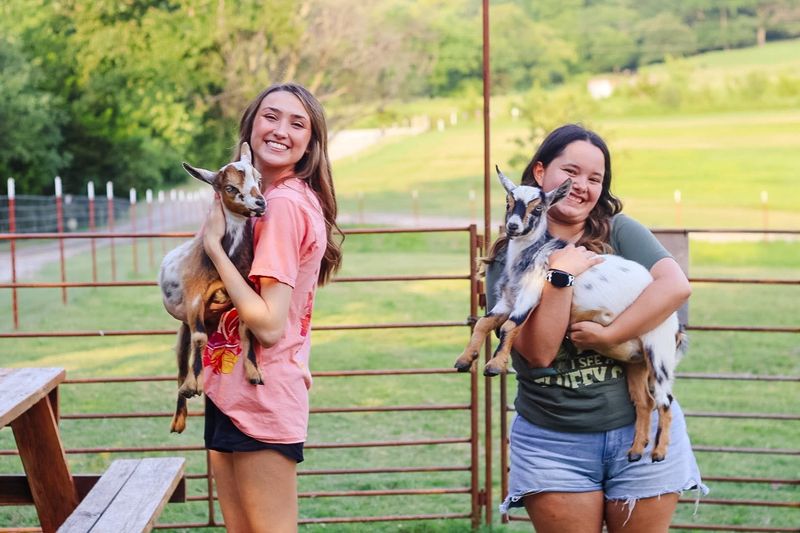 Summer Camp With Real Farm Chores
