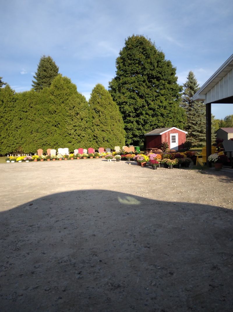 Summer Produce and Flowers by the Road