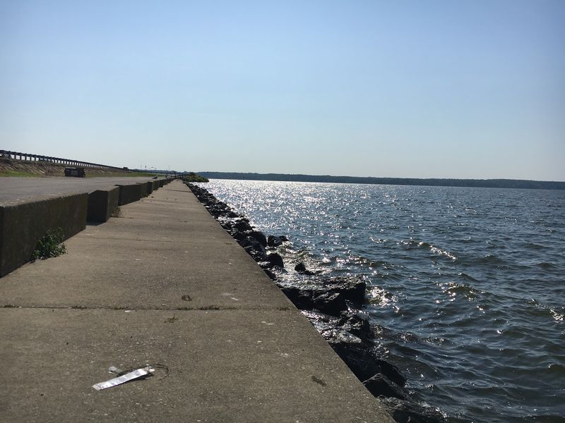 Sunny Rocks Double as Warming Stations