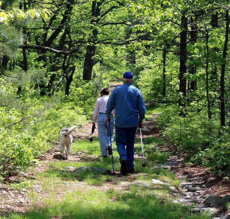 Swatara State Park, Pine Grove