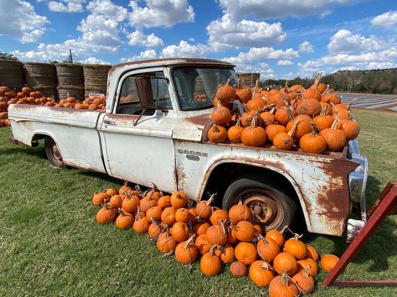 Sweet Berry Farm (Marble Falls) Sweet Berry Farm (Marble Falls)