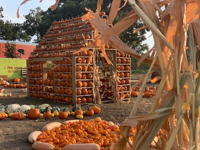 Sweet Eats Adventure Farm (Georgetown)