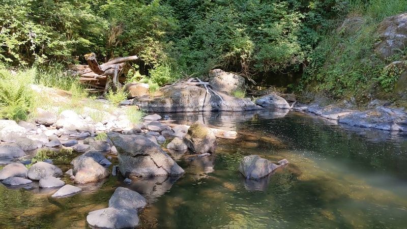 Swimming Holes and Summer Days