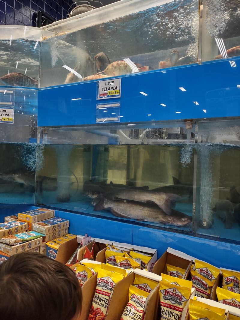 Tanks Full of Live Fish