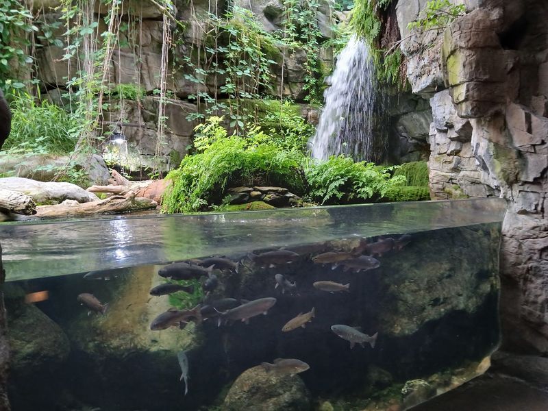 Tennessee Aquarium, Chattanooga Tennessee Aquarium, Chattanooga
