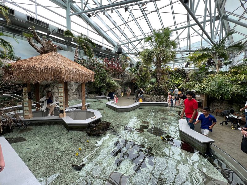 Tennessee Aquarium - Chattanooga