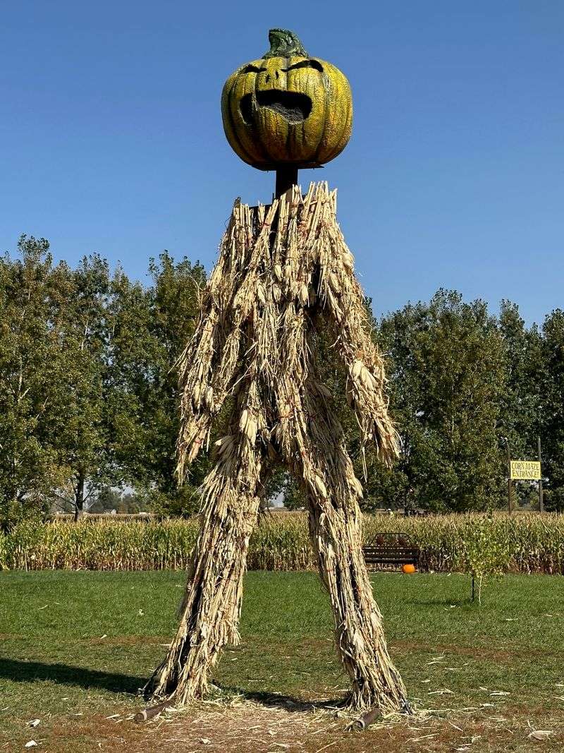 Terror in the Corn After Sundown Terror in the Corn After Sundown