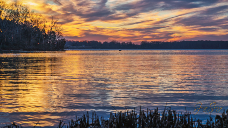 The 10 Best Tennessee Lakes for Spectacular Fall Foliage