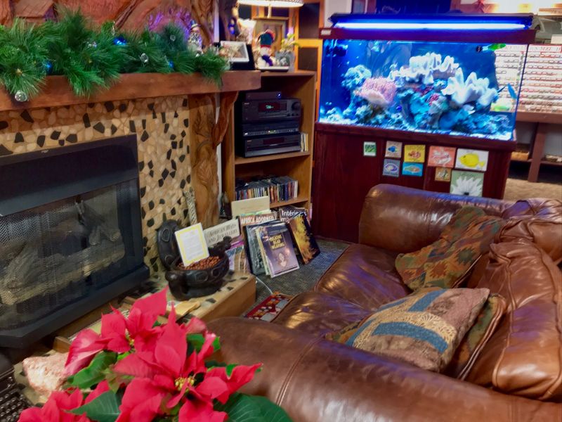 The Aquarium That Outlasted Trends The Aquarium That Outlasted Trends