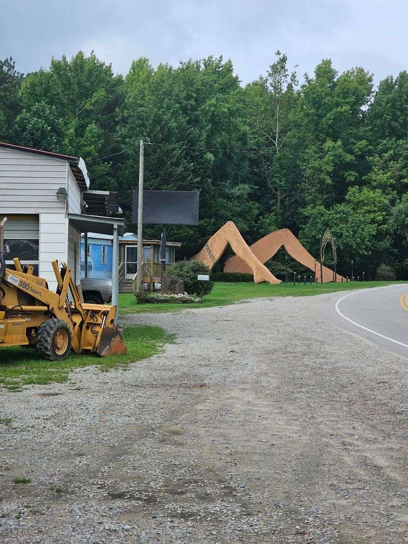 The Backhoe Artist Behind It All The Backhoe Artist Behind It All