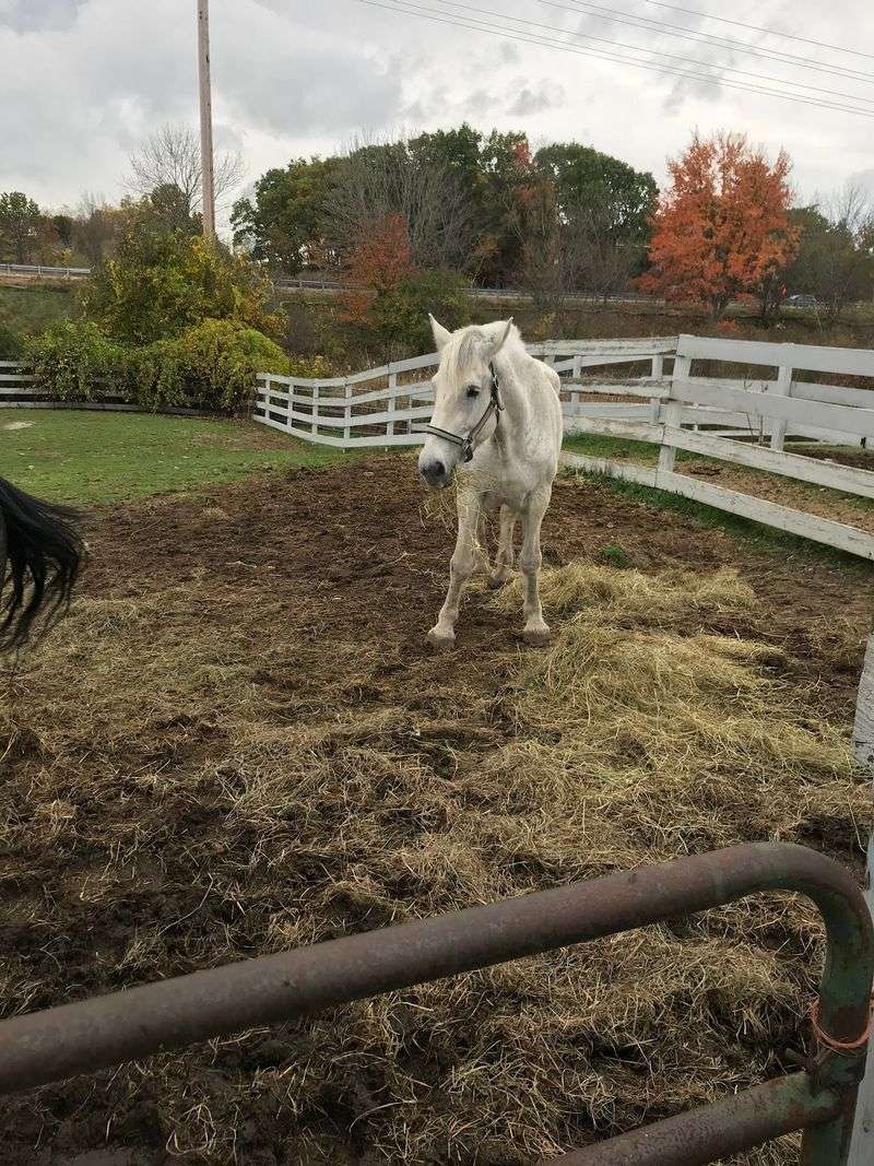 The Barn Side Changes the Scale
