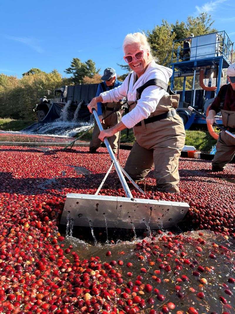 The Berry Trick Behind the Floating Harvest The Berry Trick Behind the Floating Harvest