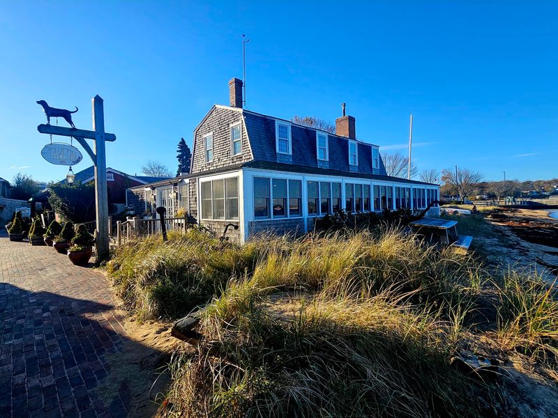The Black Dog Tavern