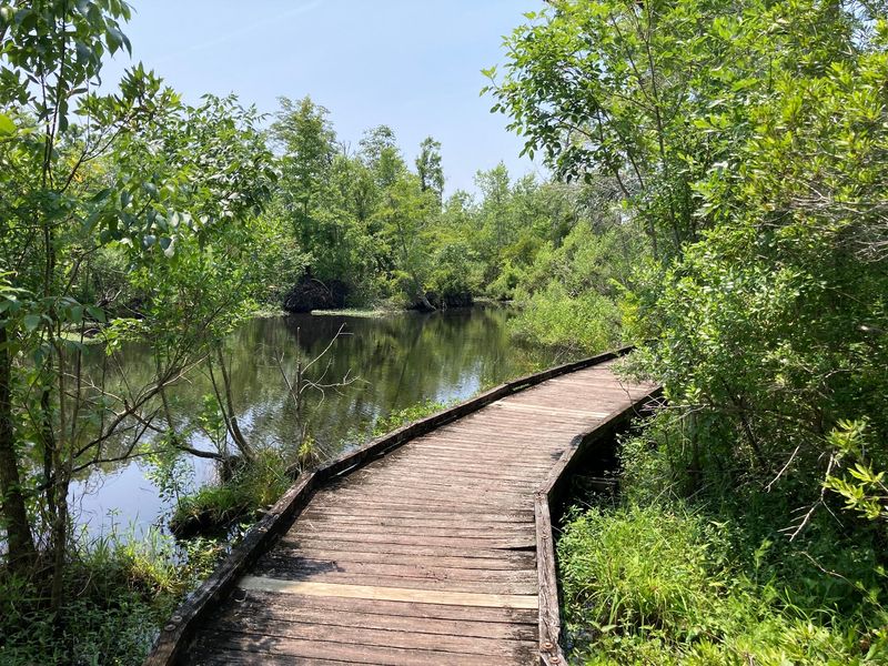 The Boardwalk Loop by the River The Boardwalk Loop by the River