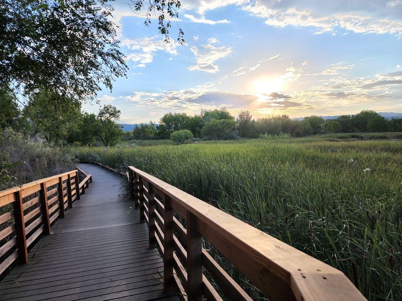 The Boardwalk Over the Marsh