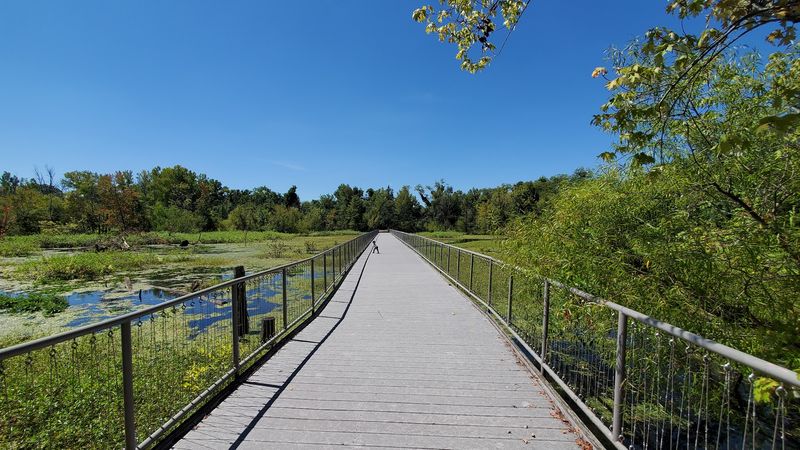 The Boardwalk Puts You Right Over The Water