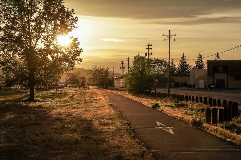 The Bumpy Truth About the Pavement