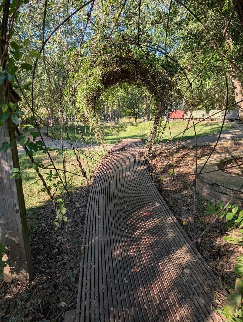 The Children's Garden and Its Small Surprises