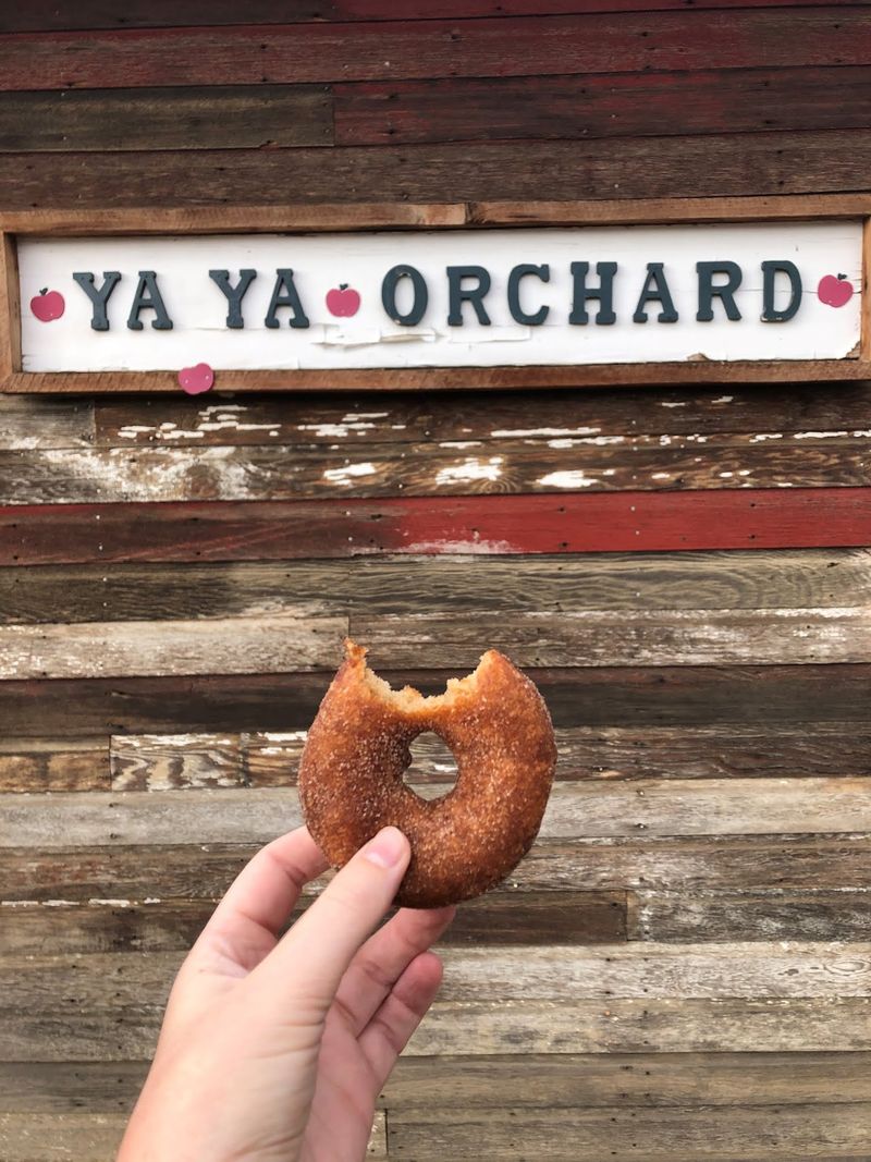 The Cider Donuts Everyone Drives For
