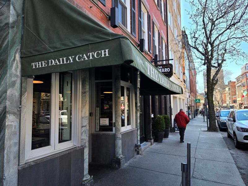The Daily Catch