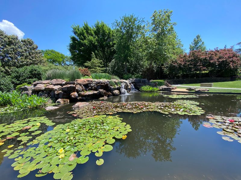 The DeGolyer Mansion and Historic Charm