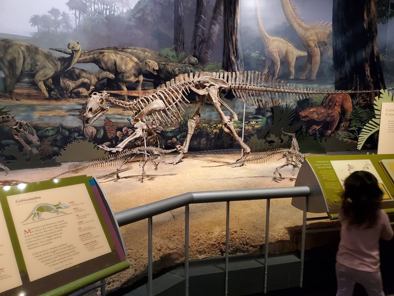 The Discovery Room Dig