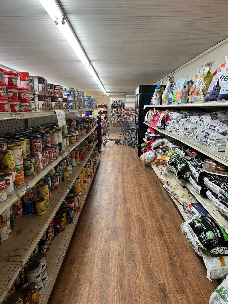 The Family Dog Gets In On The Savings