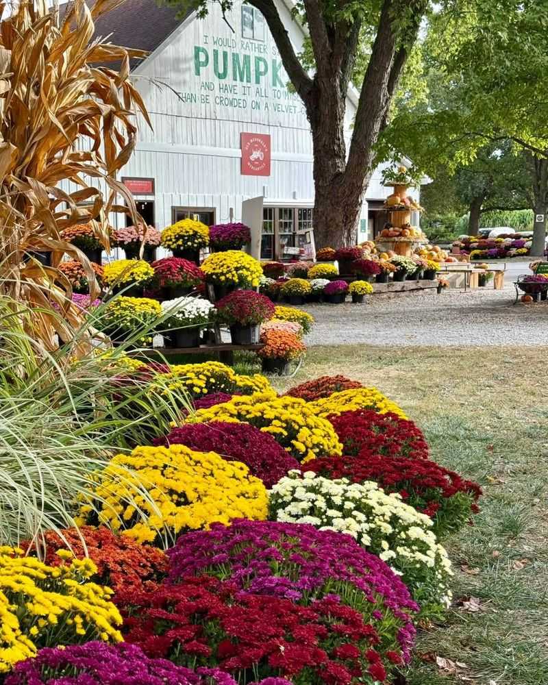 The Farm At Locust Creek, Waldo