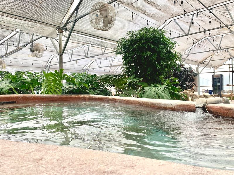 The Greenhouse and Its Leafy Hideaway The Greenhouse and Its Leafy Hideaway