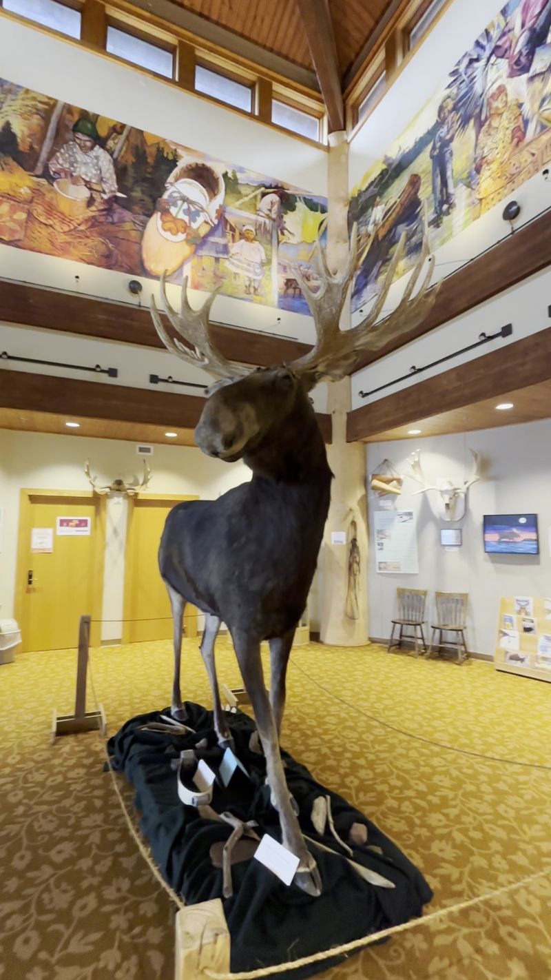 The Heritage Center and Its Moose The Heritage Center and Its Moose
