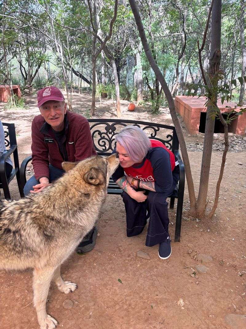 The Howl That Gets an Answer