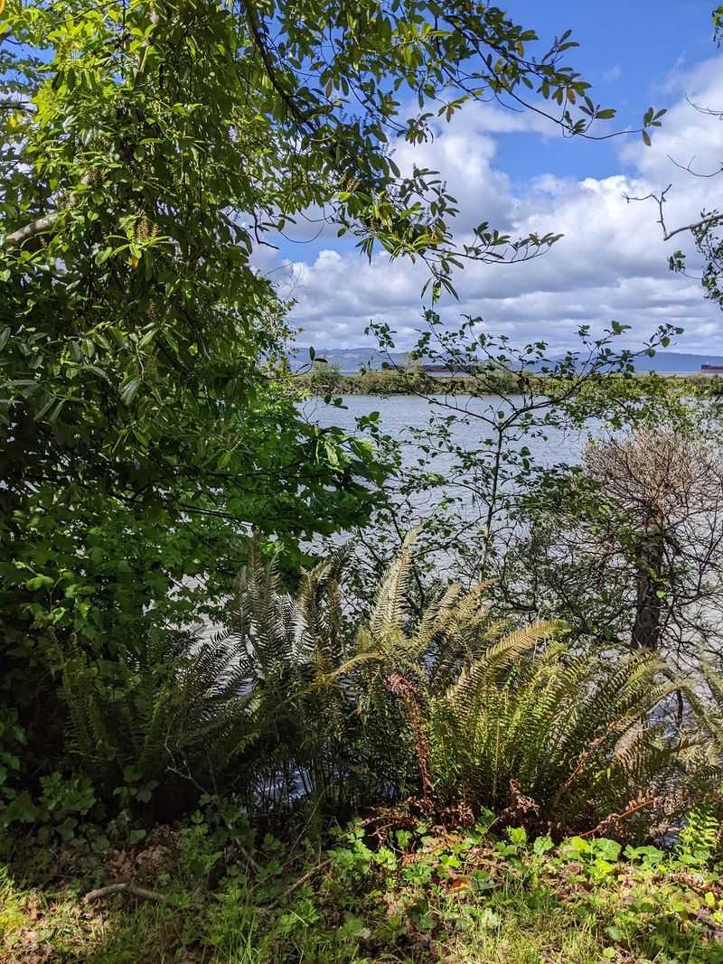 The Lagoon Road Trailhead Secret