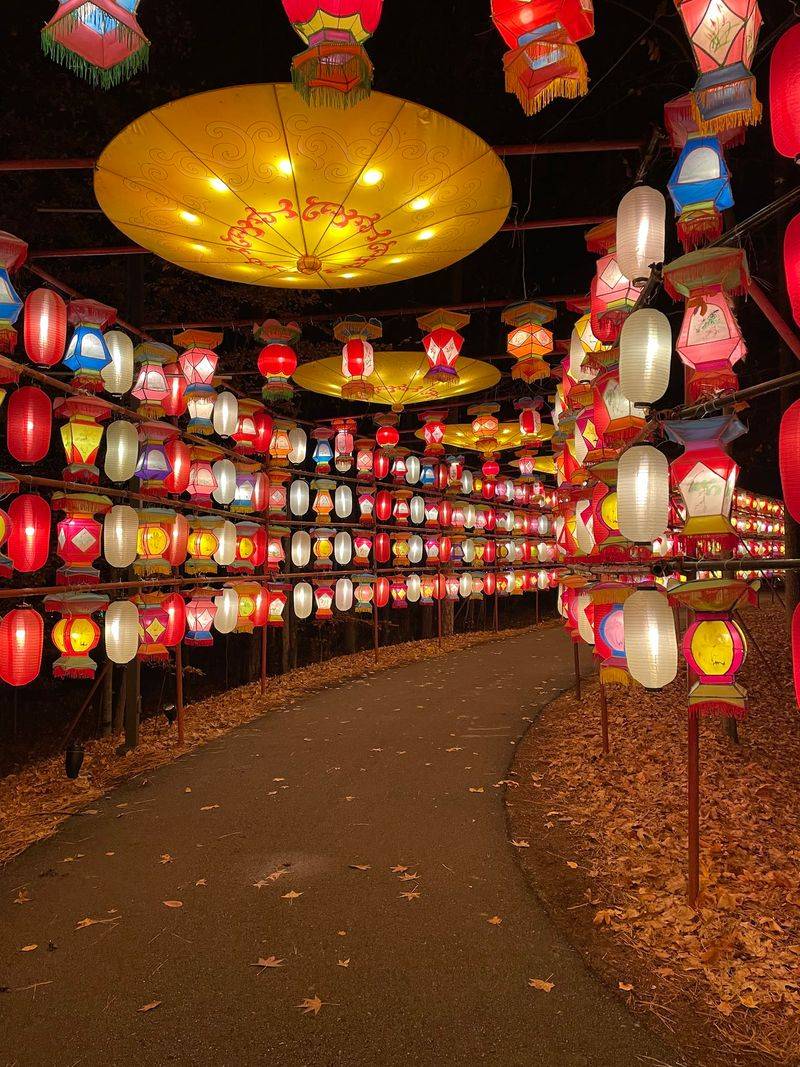 The Lantern Festival's Winter Run