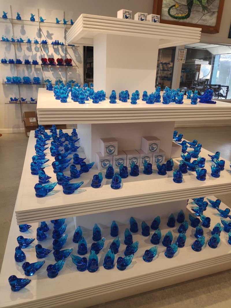 The Little Blue Bird With a Big Following