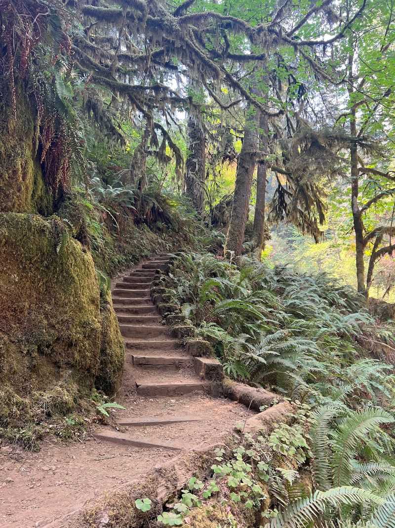 The Long, Winding Approach