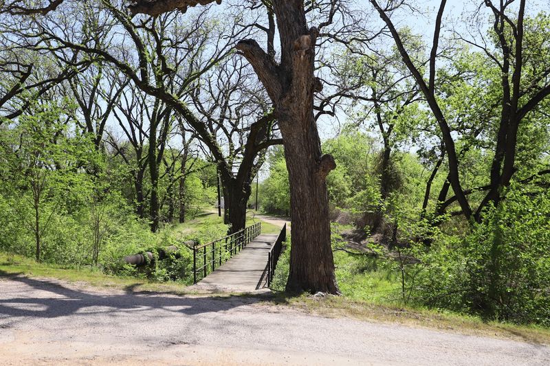 The Pecan Capital Title