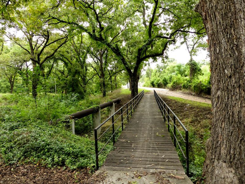 The Pecan Orchards Along the River