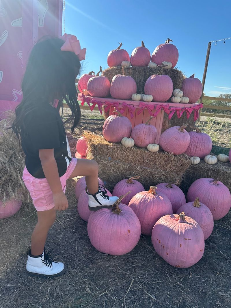 The Pink Pumpkin Patch Itself