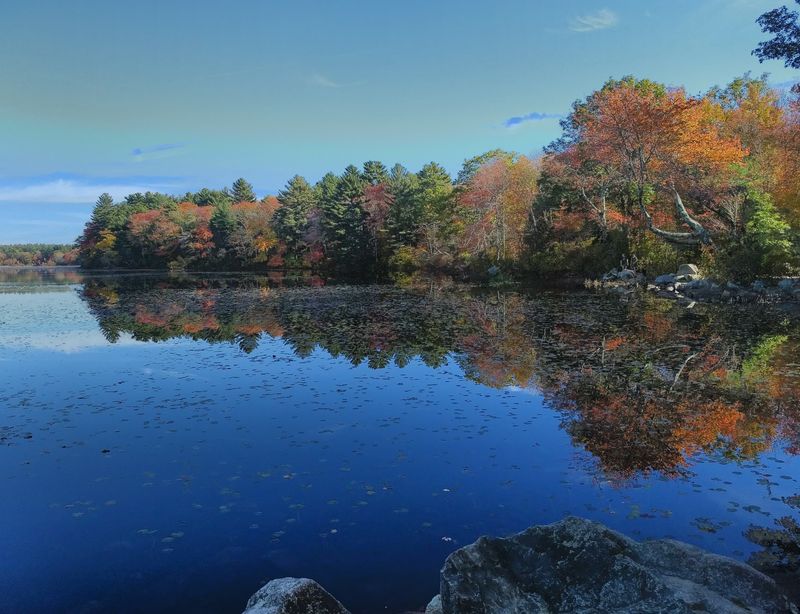 The Pond Walk Is The Easy Win Everyone Needs The Pond Walk Is The Easy Win Everyone Needs