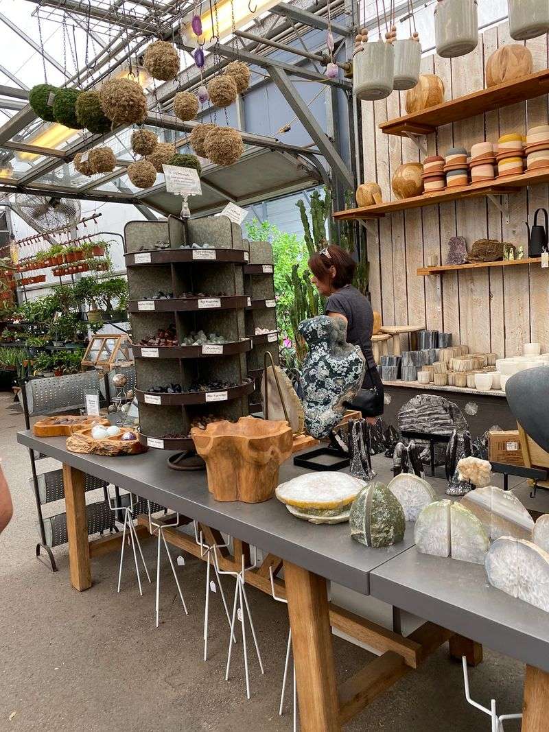 The Pottery Collection Is Just as Impressive as the Plants The Pottery Collection Is Just as Impressive as the Plants