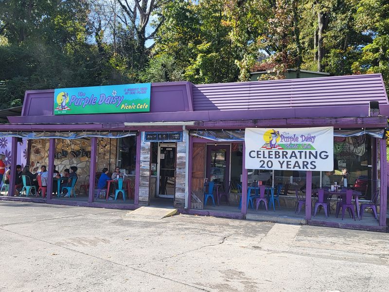 The Purple Daisy - Picnic Cafe, Chattanooga, TN