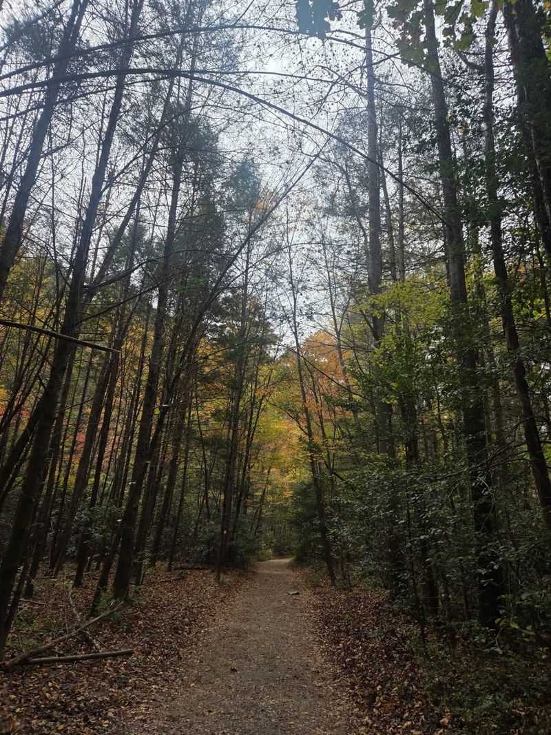 The River Trail Warm-Up