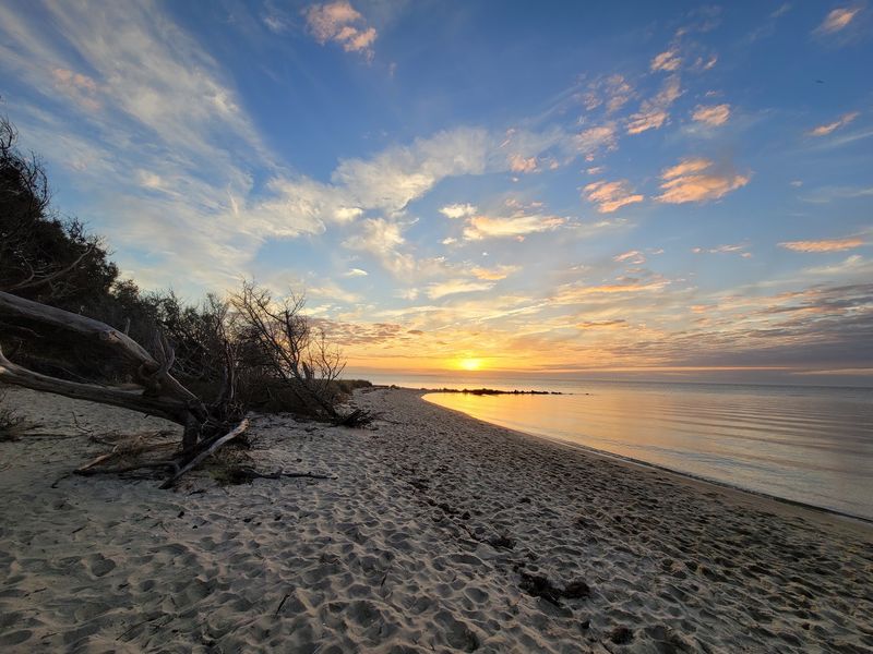 The Sound-Side Beach Payoff