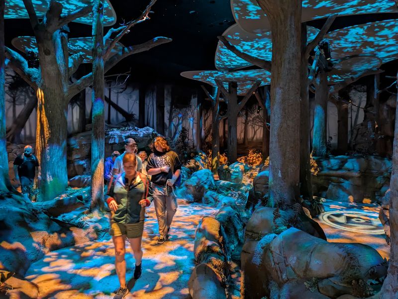 The Story Behind the Exhibits
