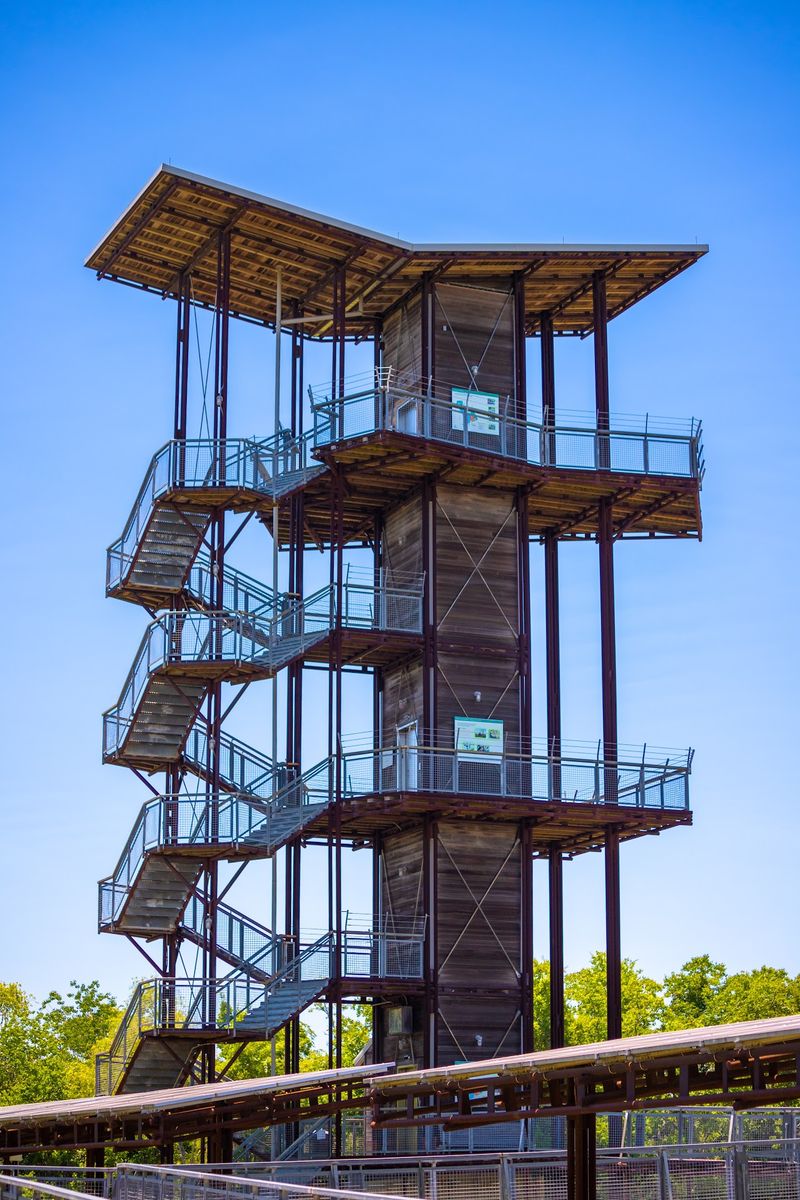The Towering Observation Deck