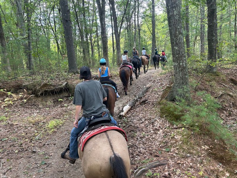 The Trail Feels Like A Storybook Walk Through New England Woods