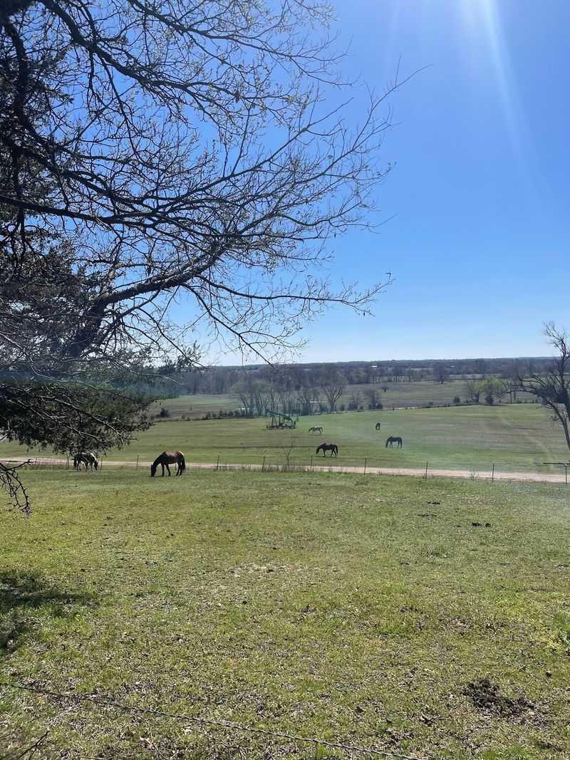 The View That Gave the Farm Its Name
