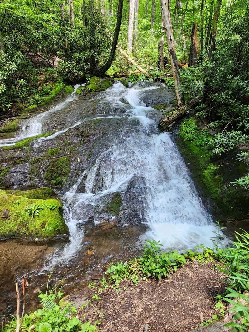 The Waterfall Ride Everyone Talks About