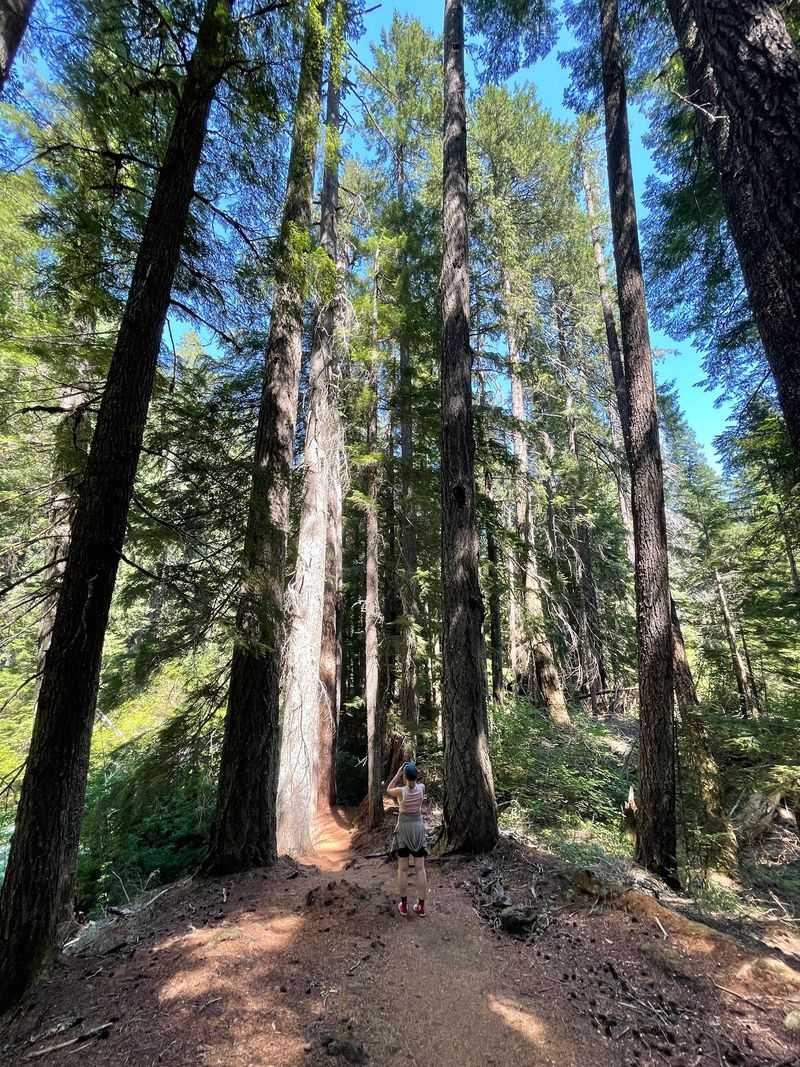 The Wilder Return Path